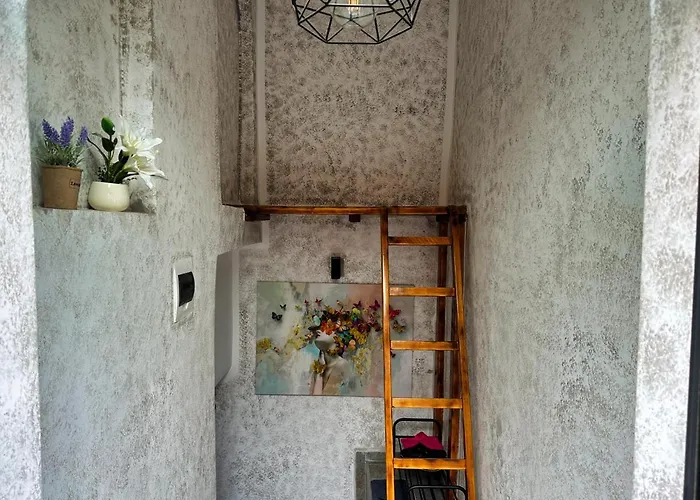 Signal With Garden & Mountain View Μπρασόβ